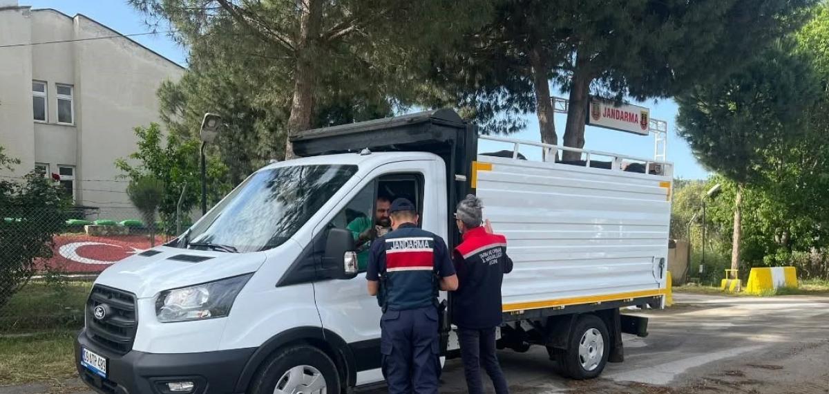 Kurban Alışverişinde ‘Küpe’ Uyarısı