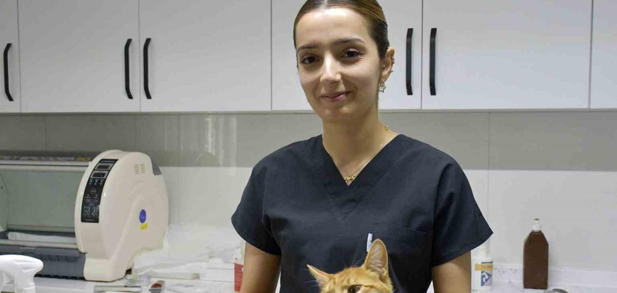 Kuşadası’nda Sokak Hayvanlarına Ücretsiz Şifa Eli