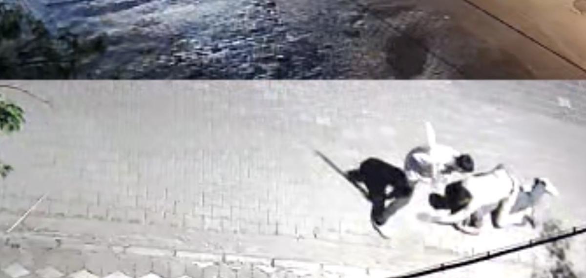 Manisa’da Kız Meselesi Kavgası: 6 Yerinden Bıçaklandı