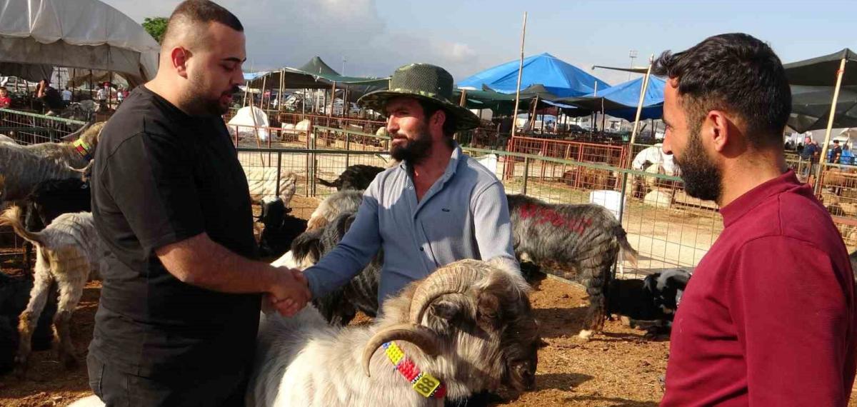Mersin’de Kurbanlıklarda Kıran Kırana Pazarlıklar Başladı