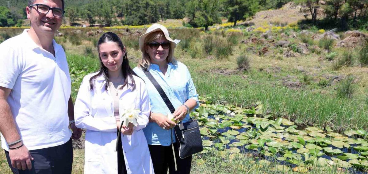 Mskü’nün İki Projesine Uluslararası Kongrede Birincilik Ödülü