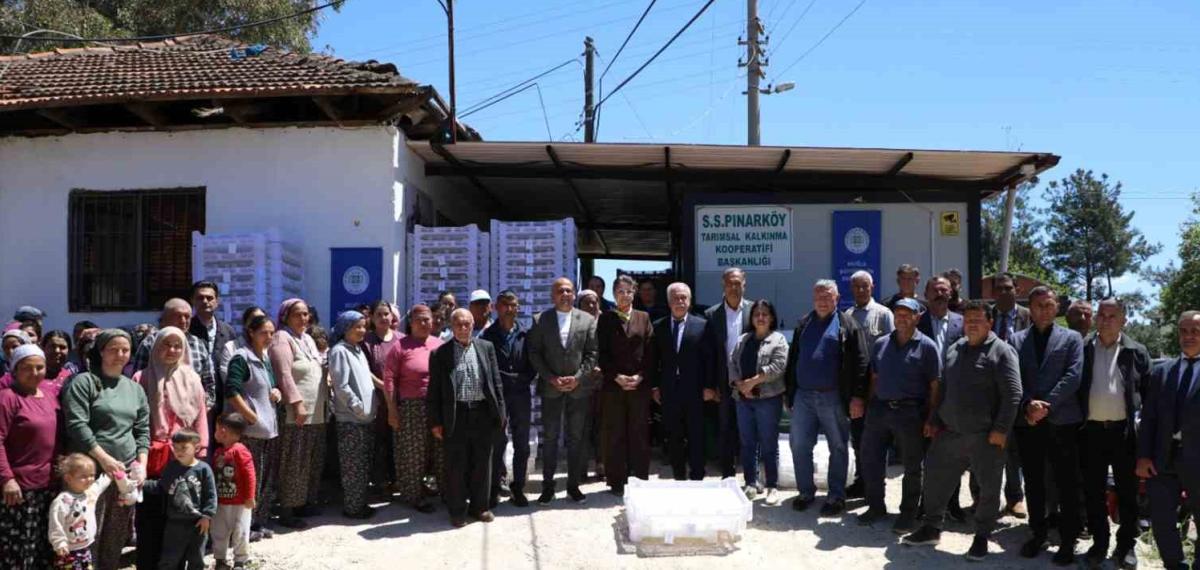 Muğla Büyükşehir’den İpek Böcekçiliğine Destek