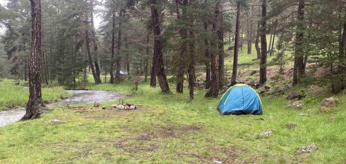 Piknik Alanında Yıldırım Düşmesi Sonucu Yaralanan 2 Kişi Kocaeli’ye Sevk Edildi