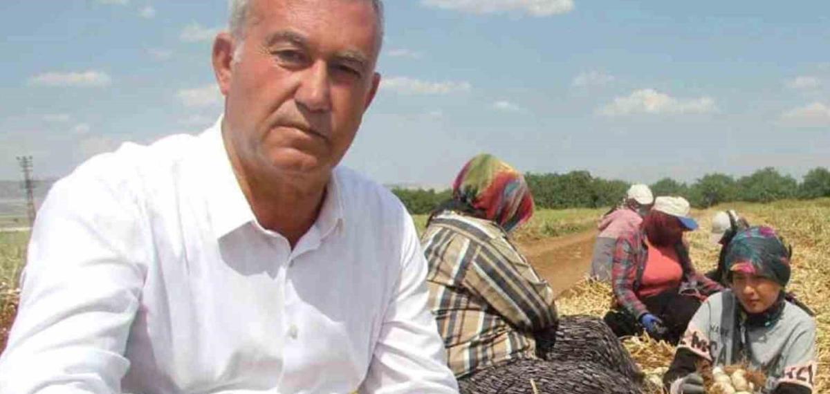 Sağlam ve Altun, Araban Sarımsağının Gelişimini İnceledi