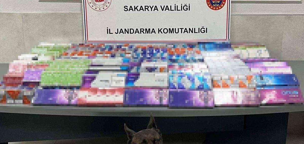 Sakarya’da Kaçakçılığa Jandarma İzin Vermiyor
