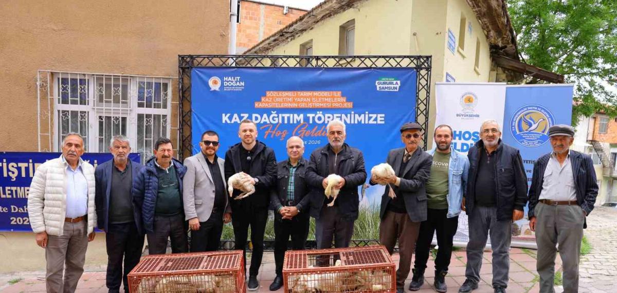 Samsun’da Üreticiye Yüzde 50 Hibeli Kaz Palazı Desteği