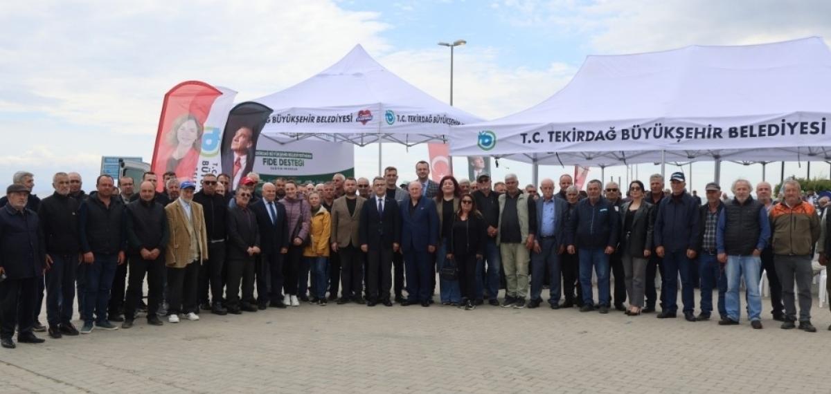 Sebze Üreticilerine Yarım Milyon Fide