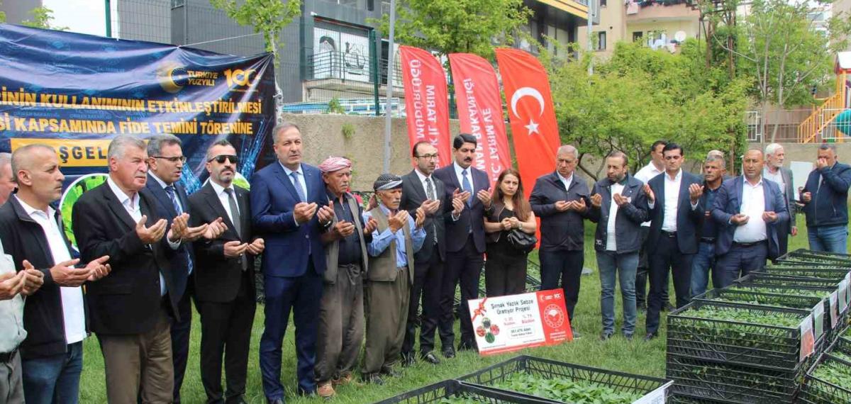 Şırnak’ta 252 Üreticiye Sebze Fidesi Dağıtıldı