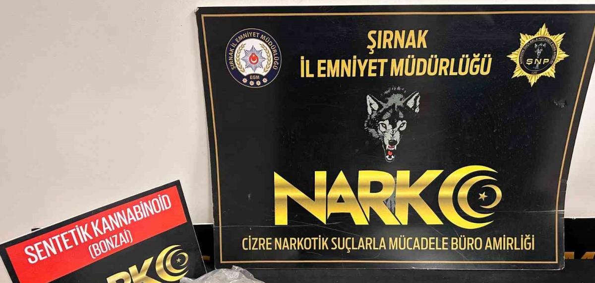 Şırnak’ta Kaçakçılık ve Uyuşturucu Operasyonları: 5 Tutuklama