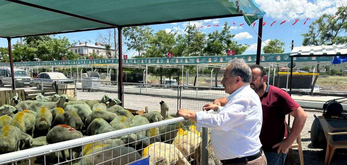 Talas’ta Kurban Pazarına Yoğun İlgi