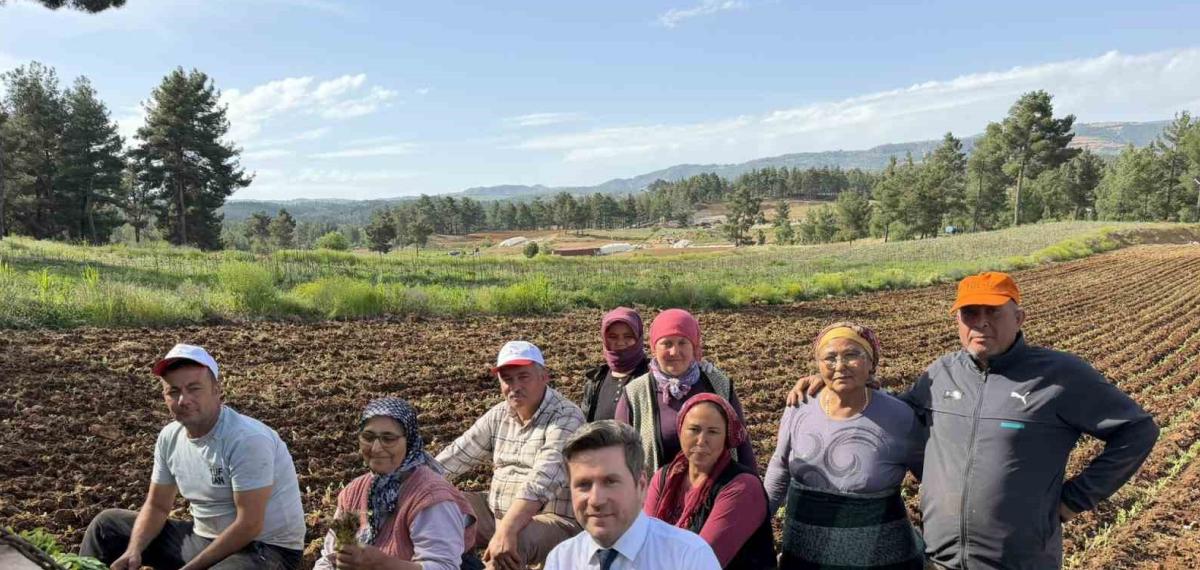 Tavas ve Beyağaç Belediye Başkanları Birlikte Tütün Dikti