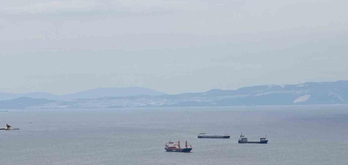 Trakya’nın Dış Ticaret Verileri Açıklandı: Tekirdağ Zirvede