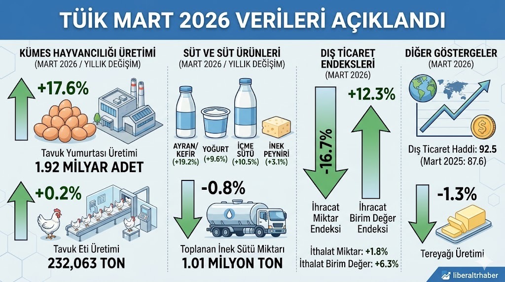 TÜİK: Tavuk Yumurtası Üretimi Yüzde 17,6 Arttı, İhracat Miktarı Yüzde 16,7 Düştü
