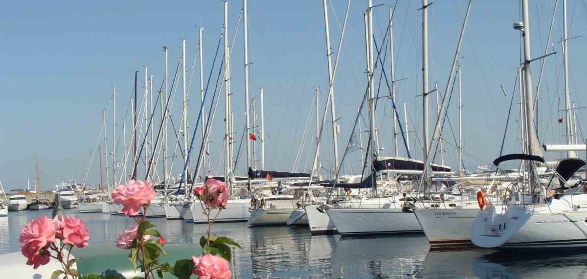 Türkiye Kıyıları Artık Dünya Markası