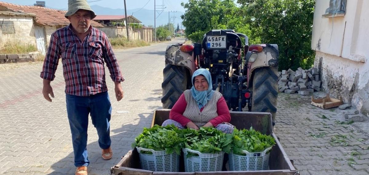 Üzümden Önce Yaprak Kazandırdı