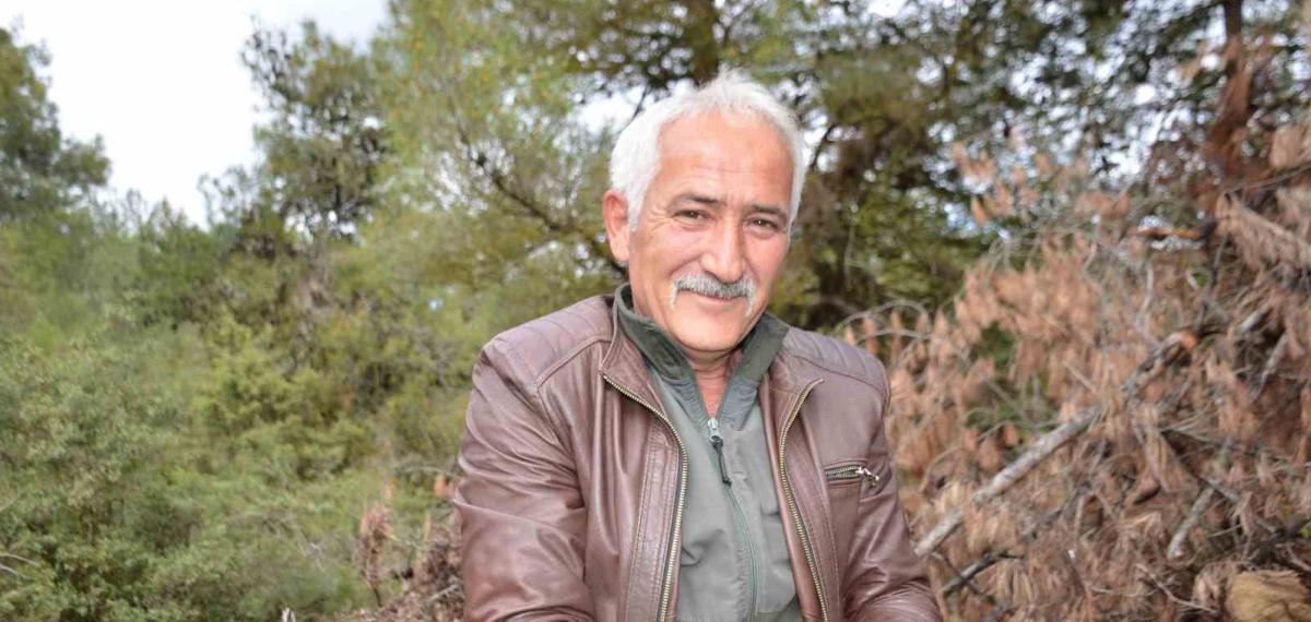 Yanan Ormanlık Alanda Doğanın Cömertliği Köylüleri Sevindirdi: Fiyatı Gram Altında Yarışıyor