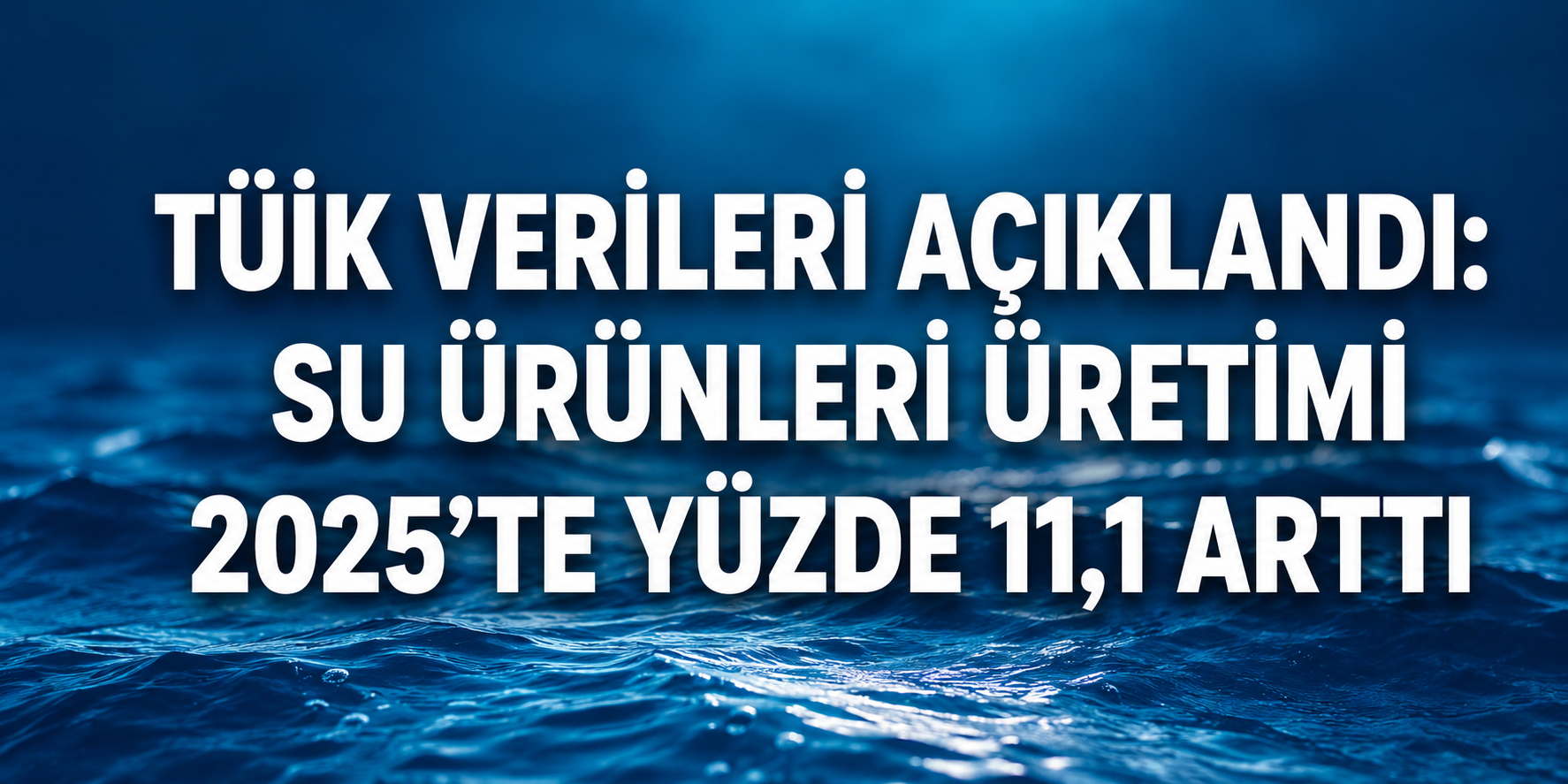 TÜİK: Su Ürünleri Üretimi 2025’te Yüzde 11,1 Arttı