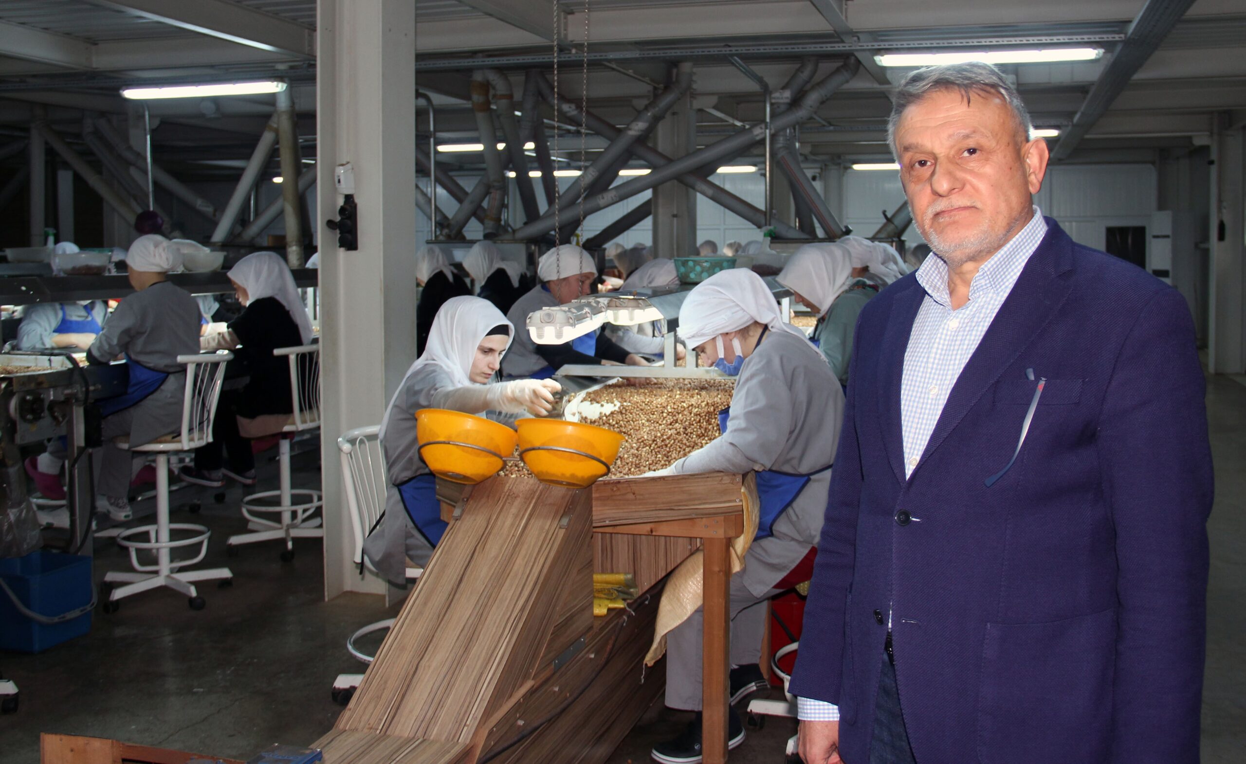Fındık Fiyatlarındaki Düşüş Sürüyor: Gözler Yeni Sezonda