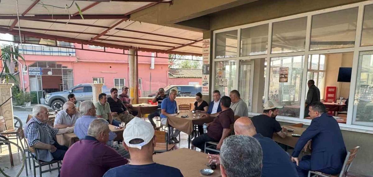 Ak Parti Vilayet Lideri Subaşıoğlu, Sarayköy’de Buğday Hasadı Yaptı