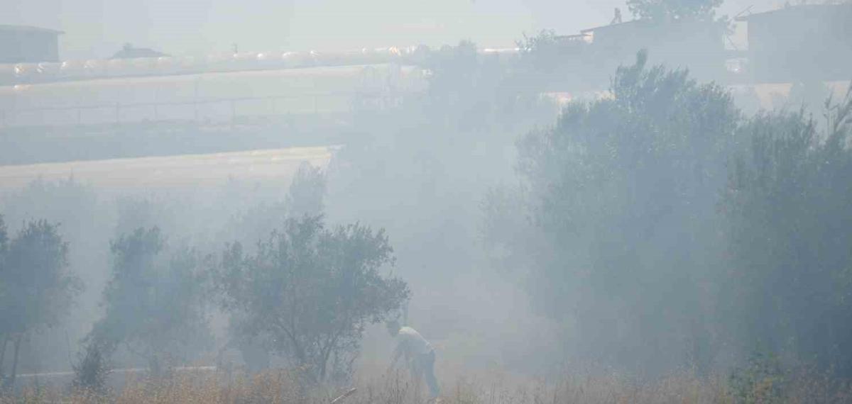 Antalya’da Sera ve Evleri Tehdit Eden Yangın Mahalleliyi Korkuttu