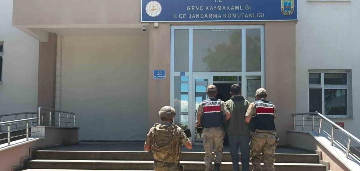 Bingöl’de jandarma suçlulara karşı operasyonlarını sürdürdü