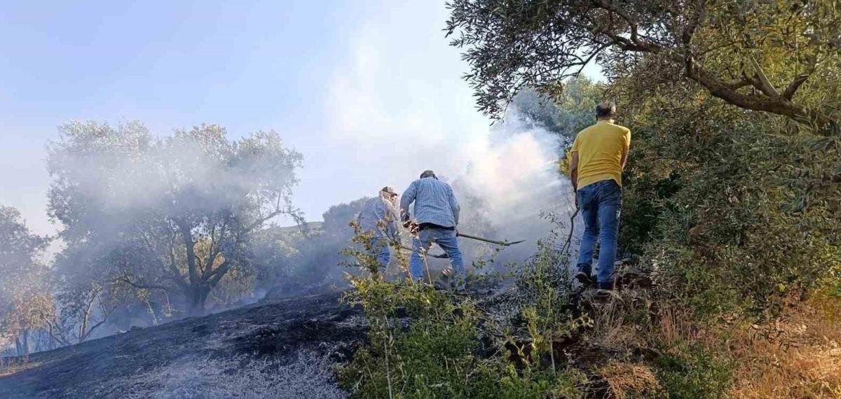 Bozdoğan’da Arazi Yangını