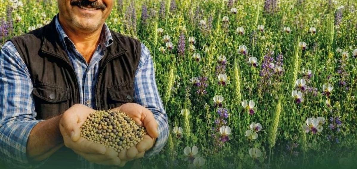Denizli’de 5’li Karışım Yem Bitkisi Tohumu Desteği Başvuru Süreci Başladı