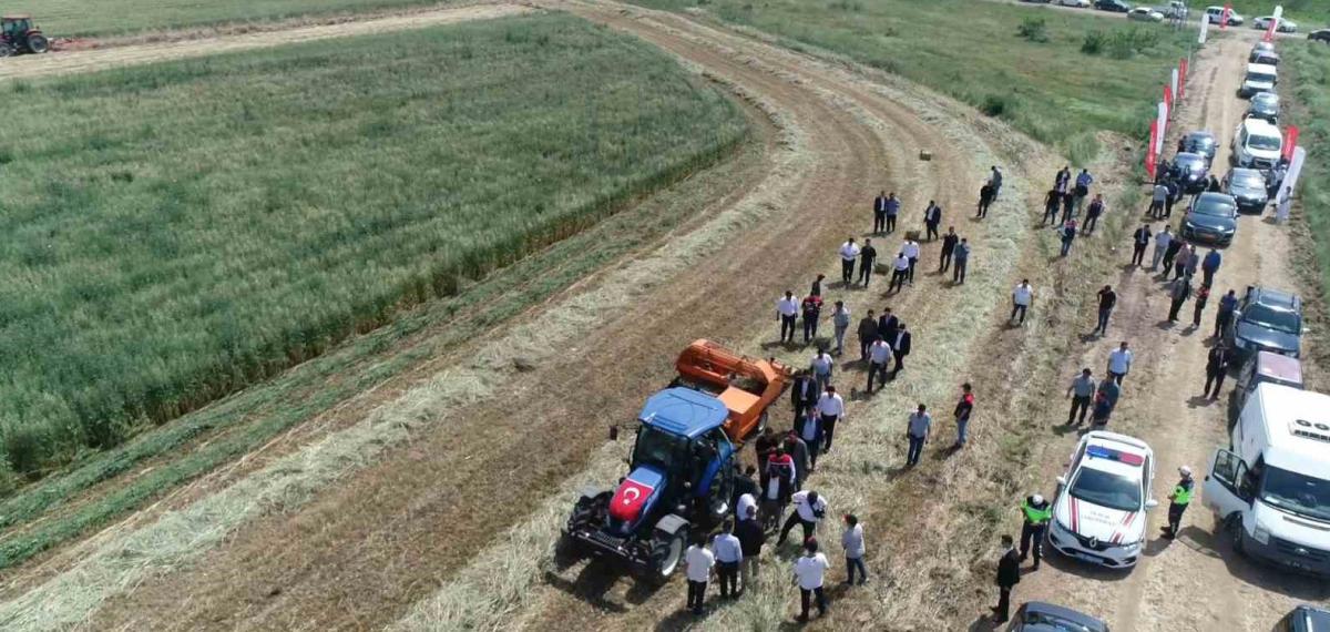 Edirne’de Meralarda Yeni Model: Üretimden Elde Edilen Gelir Yine Meraya Yatırılacak