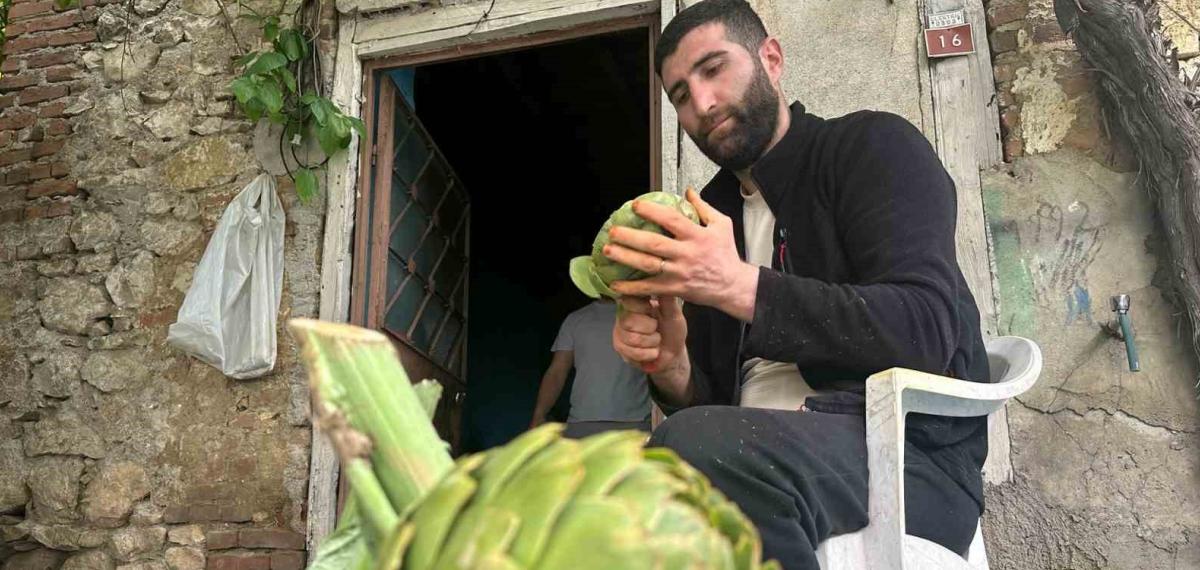 Enginar Soyarak Ayda 240 Bin Lira Kazanıyor