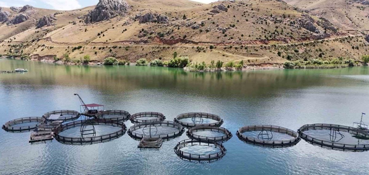 Erzincan Tercan su ürünleri tesisleri Balık İhracatıyla Gündemde