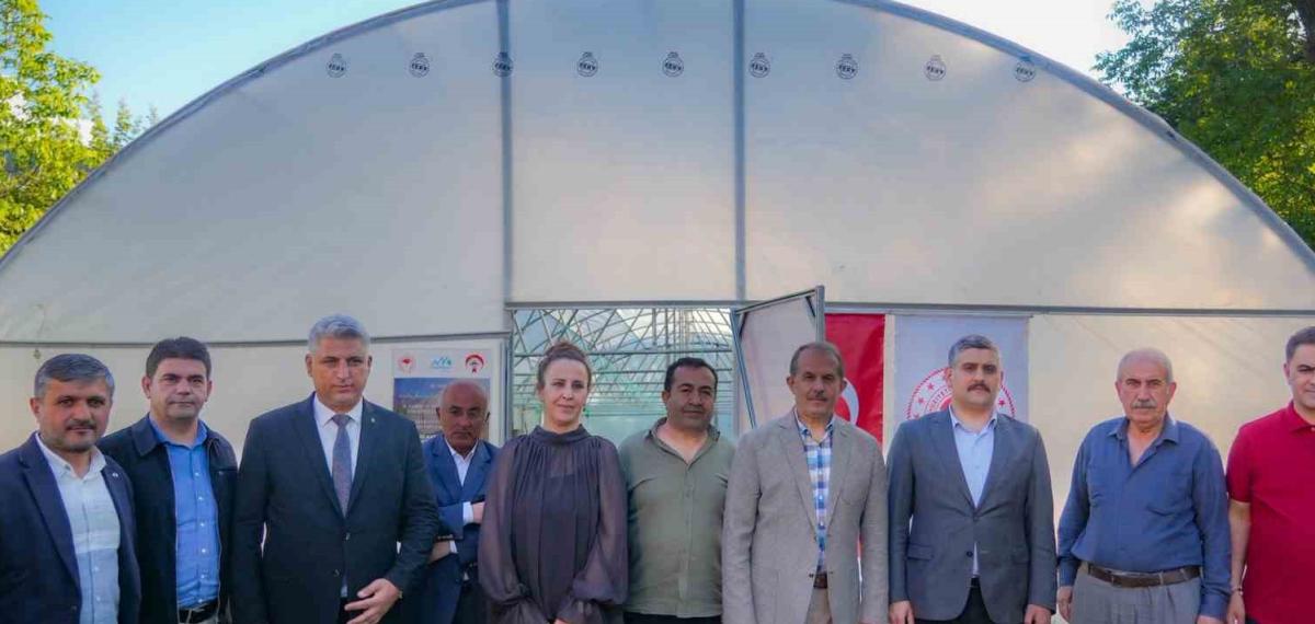 Hakkâri’de 362 Bin 700 Sebze Fidesi Dağıtıldı