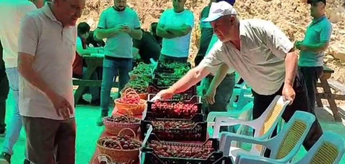 Hisarcık’ın Kutlubeyler Köyü’nde Kiraz Festivali düzenlendi, yarışmada Sema Akçalıoğlu birinci oldu