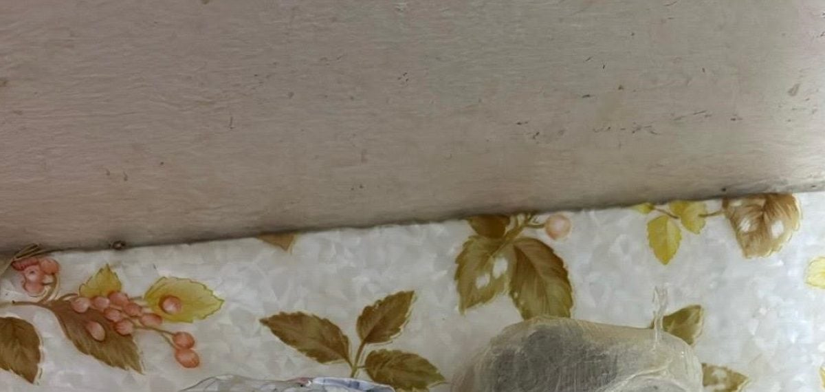 İstanbul merkezli operasyonda 24 şüpheli gözaltına alındı, örgütün 5,066,473,505 lira suç geliri tespit edildi