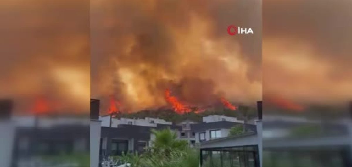 İzmir Dikili’de tarım arazisinde başlayan yangın kontrol altına alındı