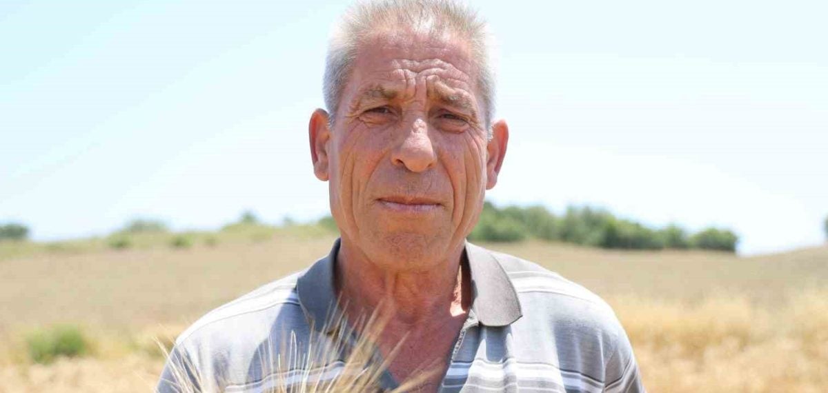 Kozan’da Ata Tohumu Karakılçık Buğdayı Yeniden Yuvaya Dönüş Yapıyor