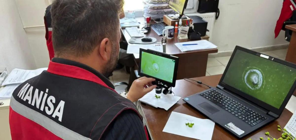 Manisa’da 102 İstasyondan Gelen Verilerle Üreticiye Erken Uyarı