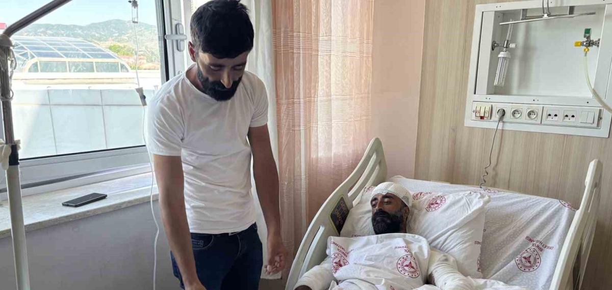 Mantar Toplarken Ayı Saldırısına Uğradı, Kollarıyla Başını Siper Ederek Hayatta Kaldı