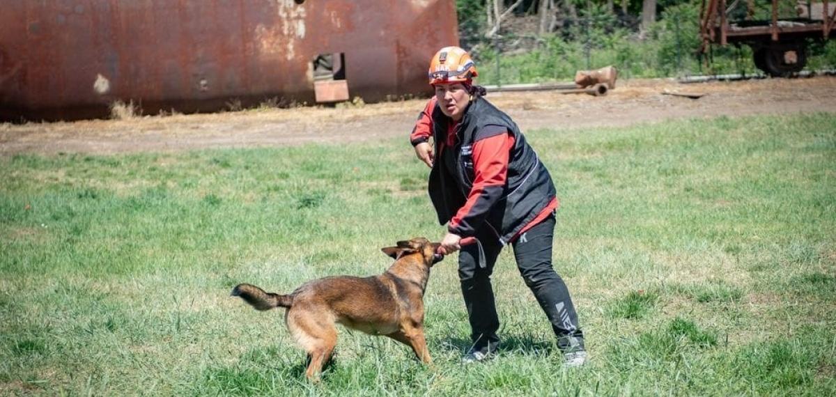 Muğla Nak Arama Kurtarma Köpekleri Macaristan’da Sahaya İndi