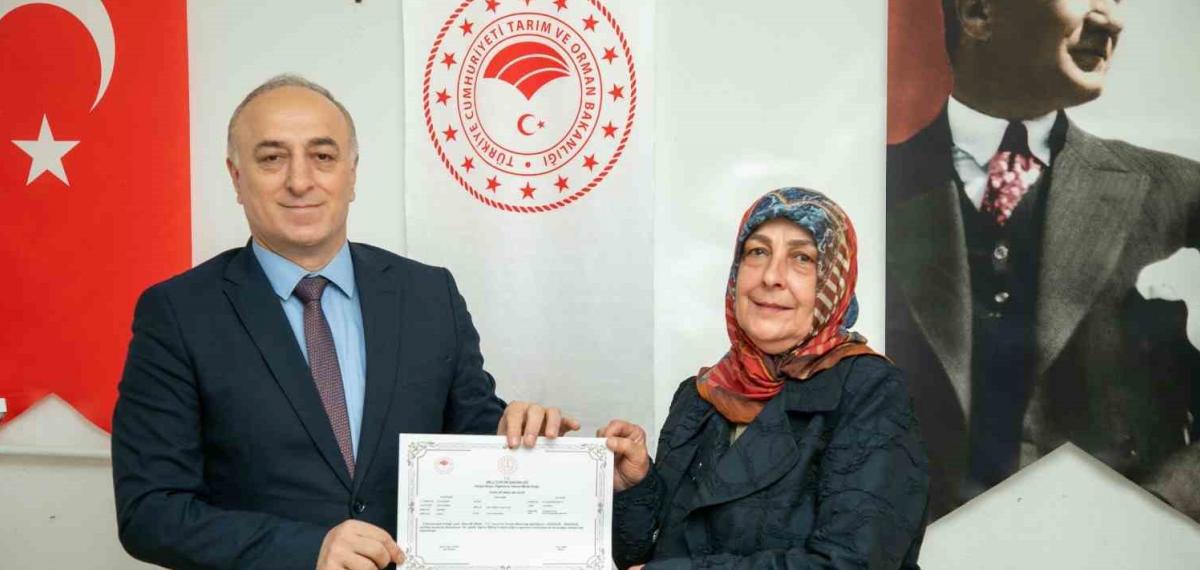 Safran Yetiştiriciliğinde Bir İlki Başarıyla Tamamlandı