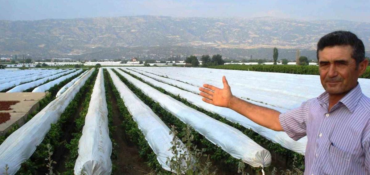 Sarıgöl Ovası Beyaza Bürünmeye Hazırlanıyor