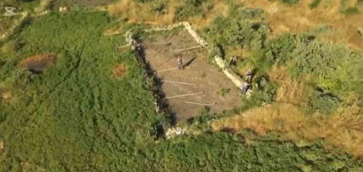 Şırnak’ta Ilısu Barajı Kıyısında Yasa Dışı Kenevir Ekimine Yönelik Operasyon ve Soruşturma Gelişmeleri