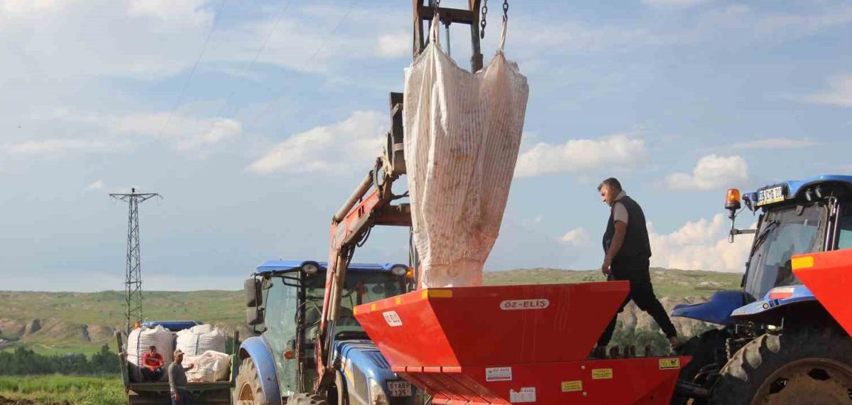 Sivas’ta Patates Ekim Sezonu Başladı, Hedef 75 Bin Ton