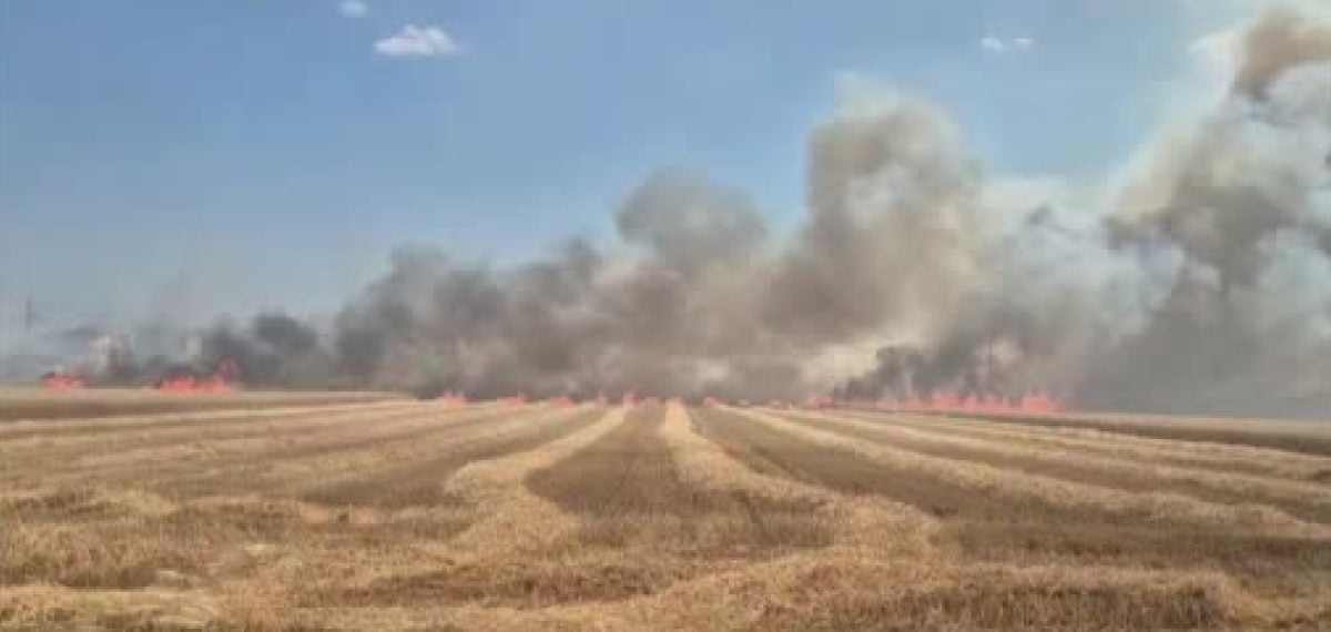 Tekirdağ Marmaraereğlisi’nde rüzgârın etkisiyle tarım arazilerinde çıkan yangın konteynerlere sıçradı