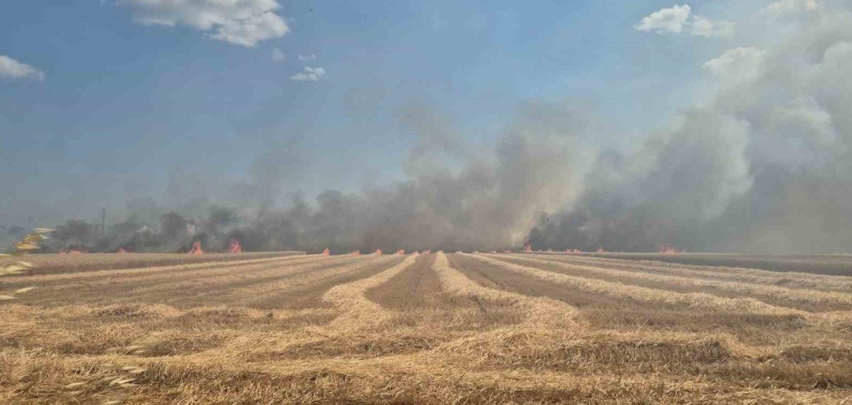 Tekirdağ Marmaraereğlisi’nde tarım arazilerinde çıkan yangın kontrol altına alındı