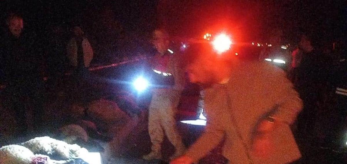 Van’da Otomobil Koyun Sürüsüne Çarptı: 17 Koyun Telef Oldu