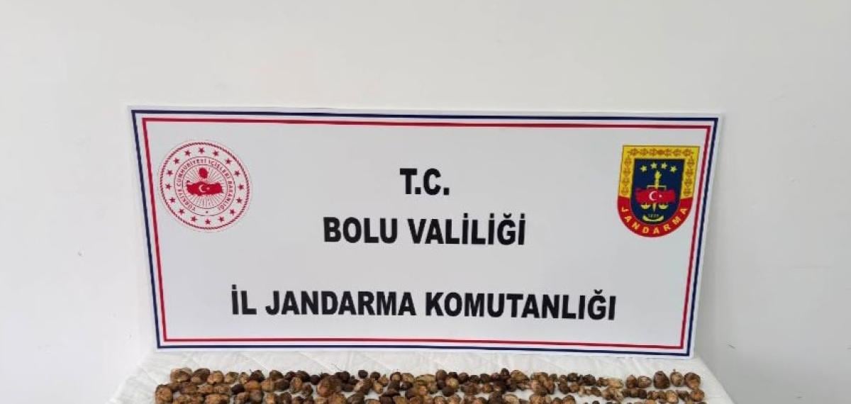 Yabani Salep Toplayan 3 Kişiye 2 Milyon TL Ceza Kesildi