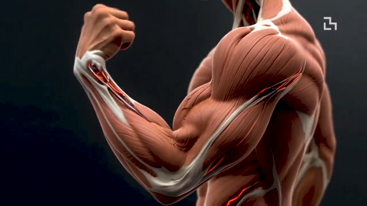 MIT Researchers Unveil Breakthrough in Robotics: Artificial Muscle Technology Could Replace Traditional Motors