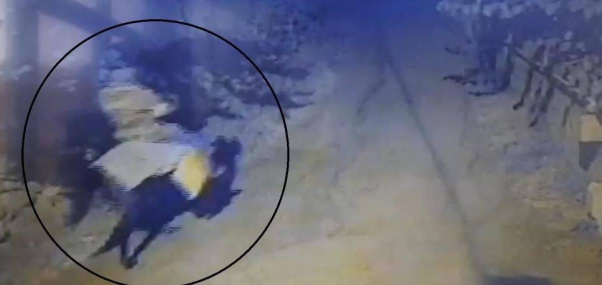 Yaşlı Çifti Öldürdükten Sonra Atla Kaçan Sanığa İki Defa Ağırlaştırılmış Müebbet