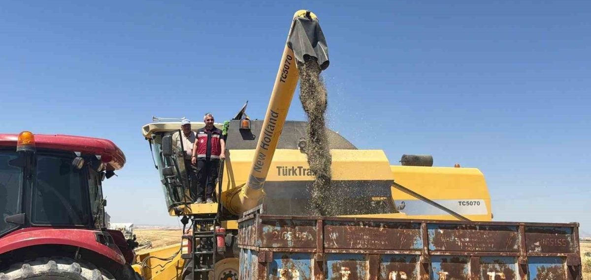 Adıyaman’da çörek otu demonstrasyonunda hasat başladı: Tarım ve Orman Müdürlüğü açıkladı