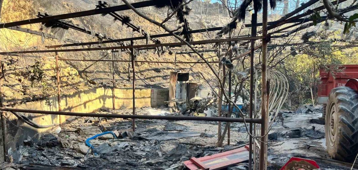 Alanya’da rüzgârın etkisiyle orman yangını muz seralarına sıçradı, 17 hektar yandı